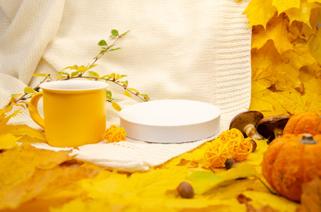 Autumn close-up still life in yellow-orange tones: a white knitted plaid and leaves, empty podium white scene surrounded by yellow leaf frame a yellow mug pumpkins, mushroomsの写真素材