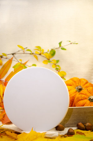 Close-up white round template round mockup on a white knitted plaid background in yellow orange red tones: pumpkins leaves berries spoons hazelnuts. Template for autumn inviteの写真素材