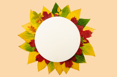 Yellow and orange pumpkins and autumn leaves on white background for harvest fall and thanksgiving theme. Festive autumn decor Halloween Concept. Flat lay composition with copy spaの写真素材