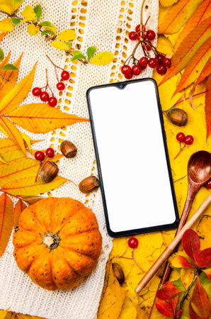 Mockup of a smartphone display and pumpkin on a background in yellow orange red tones: a white knitted plaid leaves berries spoons hazelnuts. Template autumn lists recipes applicateの写真素材