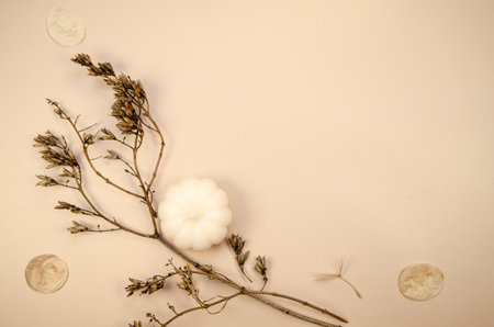 Tan begie horizontal background with dry brown branches and white pumpkin candle. Autumn minimal flat lay blank pages template muckupの写真素材