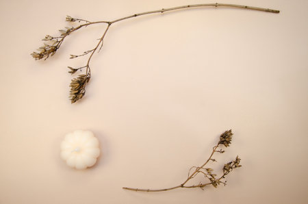 Tan begie horizontal background with dry brown branches and white pumpkin candle. Autumn minimal flat lay blank pages template muckupの写真素材