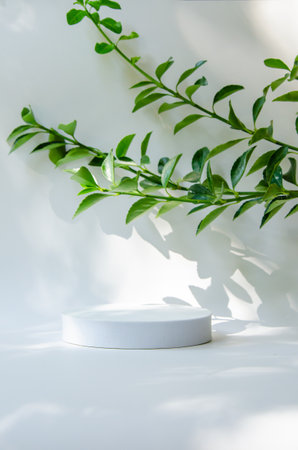 White round template podium mockup for natural organic cosmetic product presentation ad concept on white background, twig of green eco fresh nature leaves, trendy stylish minimalist mock upの写真素材