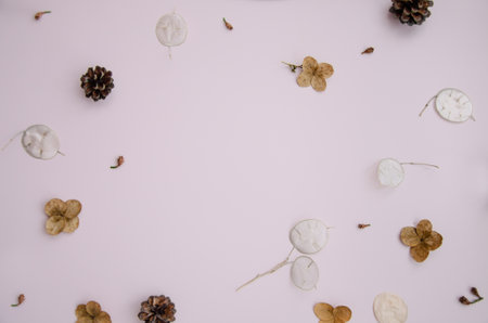 Flat lay creative natural frame of winter plants parts on rose background. Fir cones, lunaria, dry flowers, thuja buds. Botanical set of plants. Copy space, top viewの写真素材