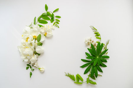 Elegant floral composition copy space in the center. Branding mock up, holiday marketing concept.の写真素材