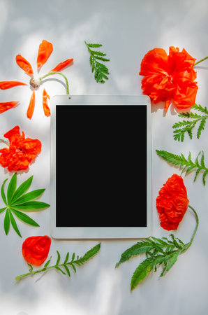 Digital tablet and poppy flowers composition on a light gray background with sunlight and shadows.の写真素材