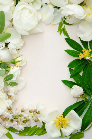 Delicate composition with white roses and petals with acacia flowers on white background. wedding concept. Invitation card templateの写真素材