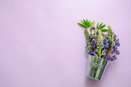 Bouquet of flowers purple lupines in small decorative silver bucket on purple background with space for textの写真素材
