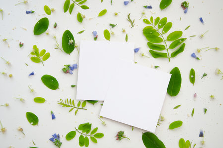 Two white cards mockup with green acacia leaves and flowers, petals and buds.の写真素材