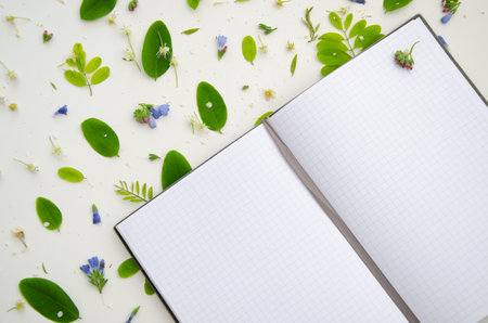 Opened note book mockup with green acacia leaves and flowers, petals and buds.の写真素材