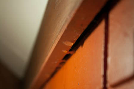 water leak causes mold in an apartmentの写真素材