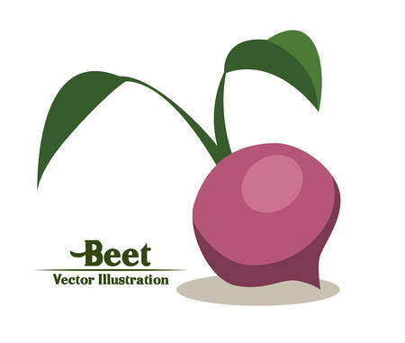 Groceries design over white background, illustrationのイラスト素材