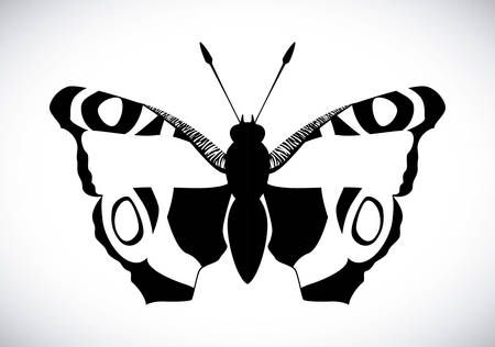 Butterfly design over white background, illustrationのイラスト素材