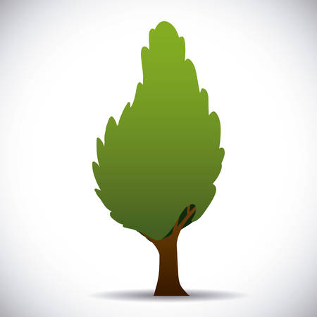 tree design over gray background vector illustrationのイラスト素材