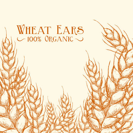 bakery design , vector illustrationのイラスト素材