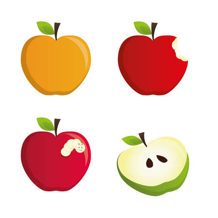 Fruit design over white background, vector illustration.のイラスト素材