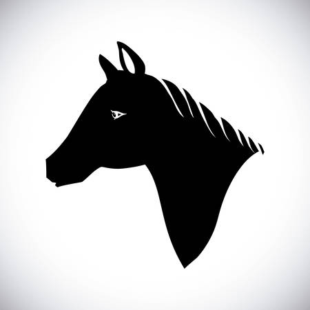 Horse design over white background, vector illustration.のイラスト素材
