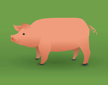 Farm animals design over green background, vector illustration.のイラスト素材
