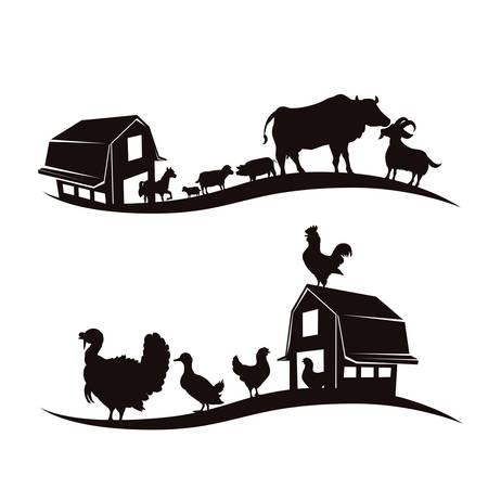 Farm animals design over white background, vector illustration.のイラスト素材