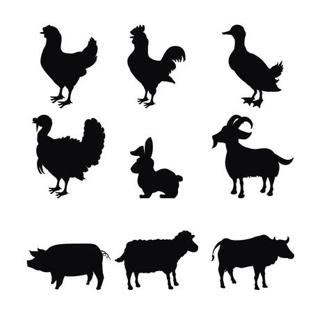 Farm animals design over white background, vector illustration.のイラスト素材