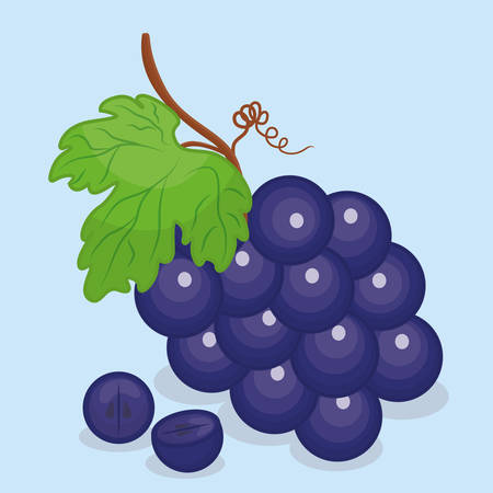 Fruits design over blue background, vector illustration.のイラスト素材