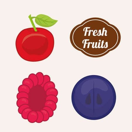 Fruits design over white background, vector illustration.のイラスト素材