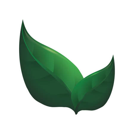 Gardening design over white background, vector illustrationのイラスト素材