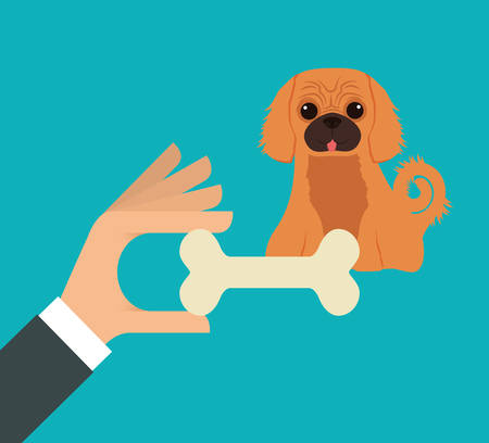 Pet care digital design, vector illustration 10 eps graphicのイラスト素材