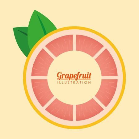 Fruits digital design, vector illustration 10 eps graphicのイラスト素材