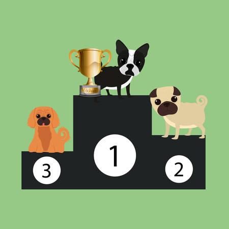 Pet care digital design, vector illustration 10 eps graphicのイラスト素材