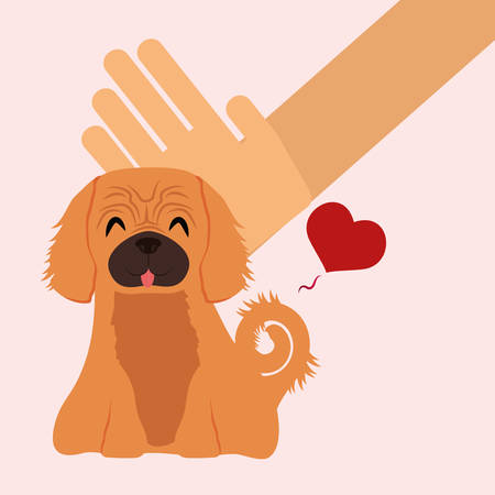 Pet care digital design, vector illustration 10 eps graphicのイラスト素材