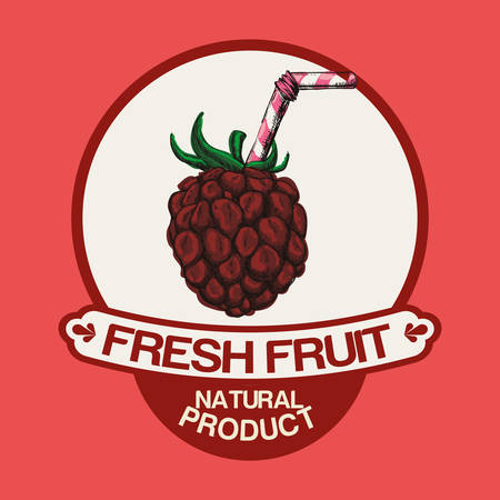 Fruits digital design, vector illustration 10 eps graphicのイラスト素材