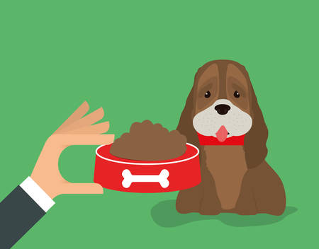 Pet care digital design, vector illustration 10 eps graphicのイラスト素材