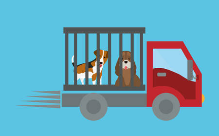 Pet care digital design, vector illustration 10 eps graphicのイラスト素材