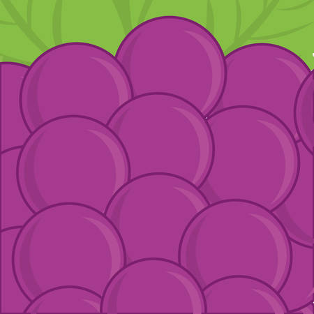 Fruits digital design, vector illustration 10 eps graphicのイラスト素材