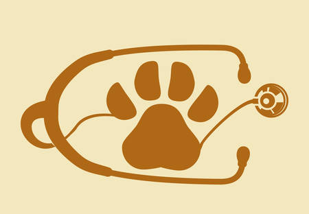 Pet care digital design, vector illustration 10 eps graphicのイラスト素材