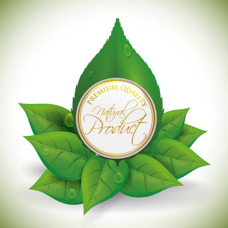 Natural product digital design, vector illustration 10 eps graphicのイラスト素材