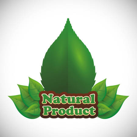 Natural product digital design, vector illustration 10 eps graphicのイラスト素材