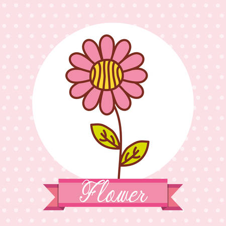 Flowers, card design vector illustration のイラスト素材
