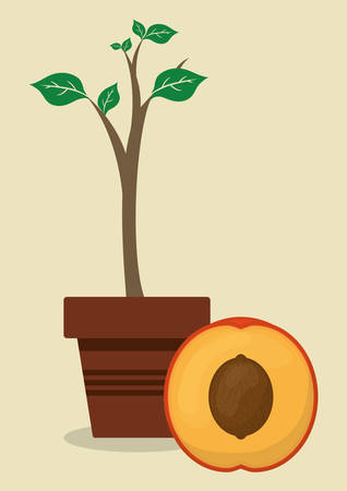 Fruit concept and healthy food design, vector illustration  graphic.のイラスト素材