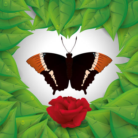 Butterfly insect and natural icons design, vector illustrationのイラスト素材