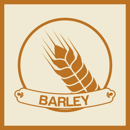 Barley  concept and wheat design, vector illustration 10 eps graphic.のイラスト素材