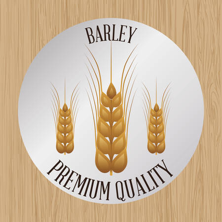 Barley  concept and wheat design, vector illustration 10 eps graphic.のイラスト素材