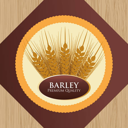 Barley  concept and wheat design, vector illustration 10 eps graphic.のイラスト素材