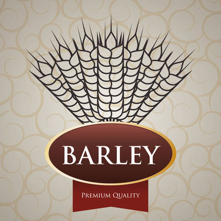 Barley  concept and wheat design, vector illustration 10 eps graphic.のイラスト素材