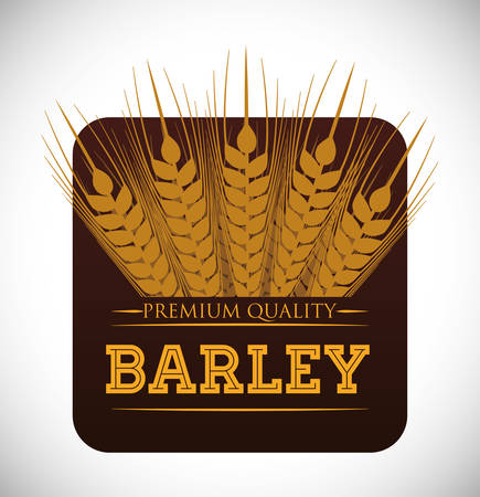 Barley  concept and wheat design, vector illustration 10 eps graphic.のイラスト素材