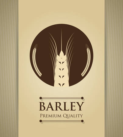 Barley  concept and wheat design, vector illustration のイラスト素材