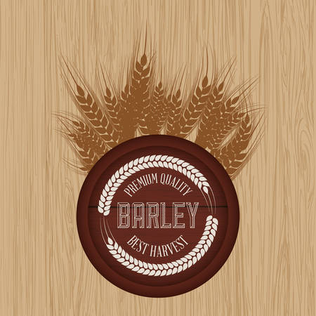 Barley  concept and wheat design, vector illustration のイラスト素材