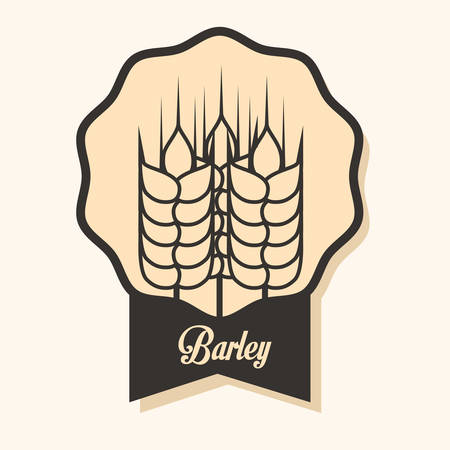 Barley  concept and wheat design, vector illustration のイラスト素材