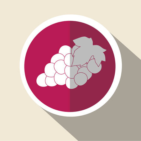 Fruit concept over seal stamp  design, vector illustration 10 eps graphicのイラスト素材